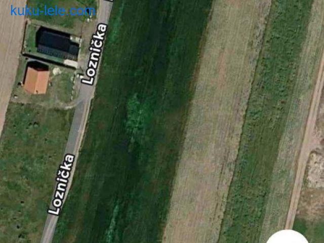Placevi u Bečmenu u ulici Đure Jakšića